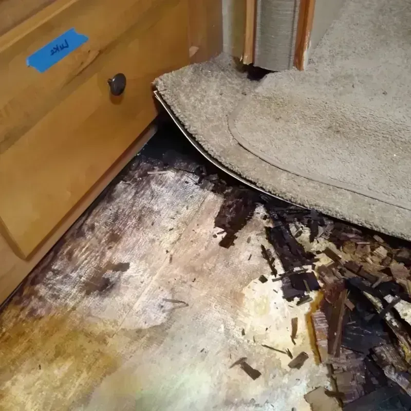 Wood Floor Water Damage in Hurley, MS